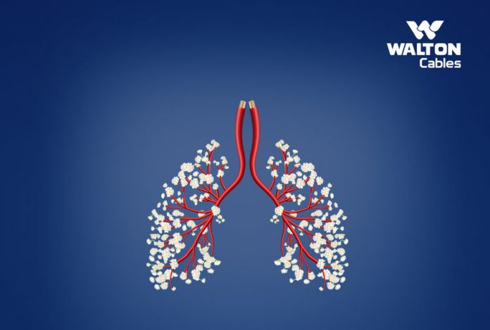 Eco-friendly-cables-should-be-used-at-home